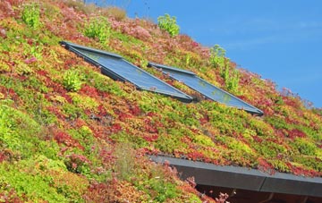 Follifoot living roof systems